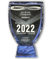 Best of 2022 Business Hall of Fame Award